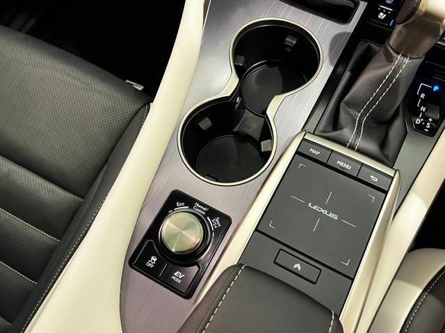 RX RX450h Fスポーツ ワンオーナー 禁煙 ムーンルーフ ワイヤレスチャージ ブレードスキャン ヘッドランプクリーナー 後席パワーシート&シートヒーター(36枚目)