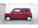 SUZUKI ALTO LAPIN CHOCOLAT