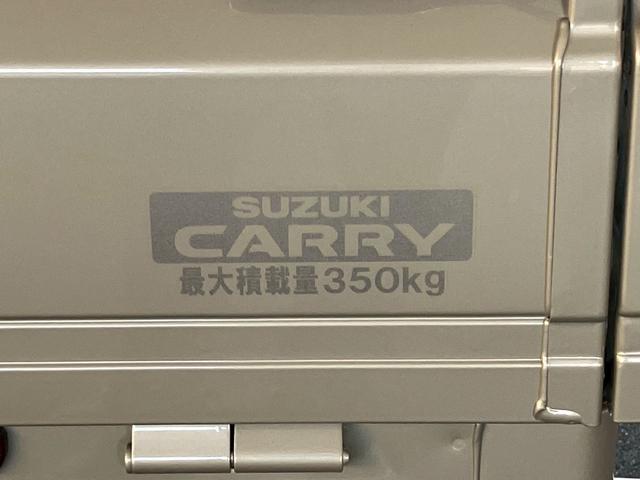 スーパーキャリイ 禁煙車 デュアルカメラブレーキサポート LEDヘッドランプ オートライトシステム ハイビームアシスト 電動格納ドアミラー キーレスエントリーシステム LED作業灯 エアコン パワステ パワーウインドウ(49枚目)