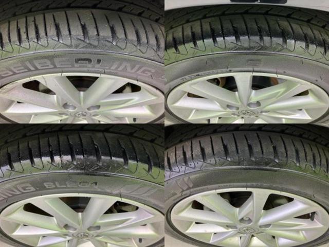 �u���̎Ԃ̎ʐ^�������ƌ������v�u��Ԃ��C�ɂȂ�v�u���̑����͂��Ă���H�v�ǂ�ȏ����ȋ^��ł����C�y�ɂ��₢���킹���������I