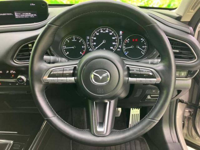 ＣＸ－３０ ＸＤブラックトーンエディション　保証書／純正　１０インチ　ＳＤナビ／アイアクティブセンス（マツダ）／全方位モニター／車線逸脱防止支援システム／電動バックドア／ヘッドランプ　ＨＩＤ／Ｂｌｕｅｔｏｏｔｈ接続／ＥＴＣ／ＥＢＤ付ＡＢＳ（16枚目）