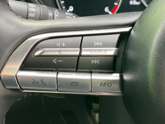 ＣＸ－３０ ＸＤブラックトーンエディション　保証書／純正　１０インチ　ＳＤナビ／アイアクティブセンス（マツダ）／全方位モニター／車線逸脱防止支援システム／電動バックドア／ヘッドランプ　ＨＩＤ／Ｂｌｕｅｔｏｏｔｈ接続／ＥＴＣ／ＥＢＤ付ＡＢＳ（31枚目）