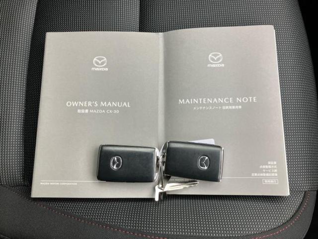 ＣＸ－３０ ＸＤブラックトーンエディション　保証書／純正　１０インチ　ＳＤナビ／アイアクティブセンス（マツダ）／全方位モニター／車線逸脱防止支援システム／電動バックドア／ヘッドランプ　ＨＩＤ／Ｂｌｕｅｔｏｏｔｈ接続／ＥＴＣ／ＥＢＤ付ＡＢＳ（37枚目）