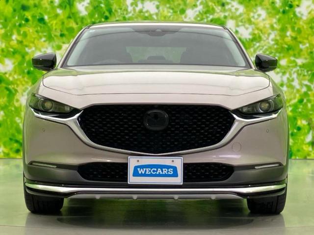ＣＸ－３０ ＸＤブラックトーンエディション　保証書／純正　１０インチ　ＳＤナビ／アイアクティブセンス（マツダ）／全方位モニター／車線逸脱防止支援システム／電動バックドア／ヘッドランプ　ＨＩＤ／Ｂｌｕｅｔｏｏｔｈ接続／ＥＴＣ／ＥＢＤ付ＡＢＳ（52枚目）