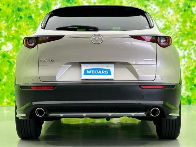 ＣＸ－３０ ＸＤブラックトーンエディション　保証書／純正　１０インチ　ＳＤナビ／アイアクティブセンス（マツダ）／全方位モニター／車線逸脱防止支援システム／電動バックドア／ヘッドランプ　ＨＩＤ／Ｂｌｕｅｔｏｏｔｈ接続／ＥＴＣ／ＥＢＤ付ＡＢＳ（53枚目）