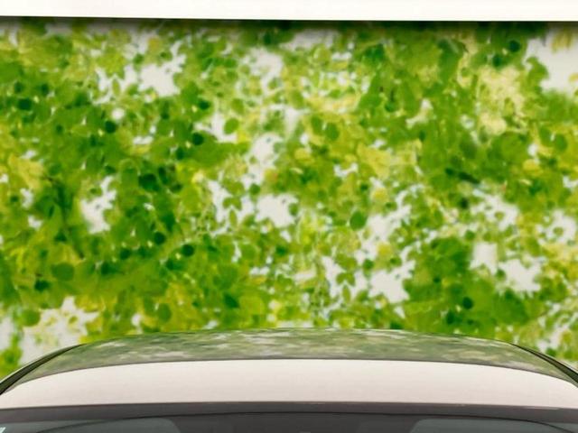 ＣＸ－３０ ＸＤブラックトーンエディション　保証書／純正　１０インチ　ＳＤナビ／アイアクティブセンス（マツダ）／全方位モニター／車線逸脱防止支援システム／電動バックドア／ヘッドランプ　ＨＩＤ／Ｂｌｕｅｔｏｏｔｈ接続／ＥＴＣ／ＥＢＤ付ＡＢＳ（56枚目）