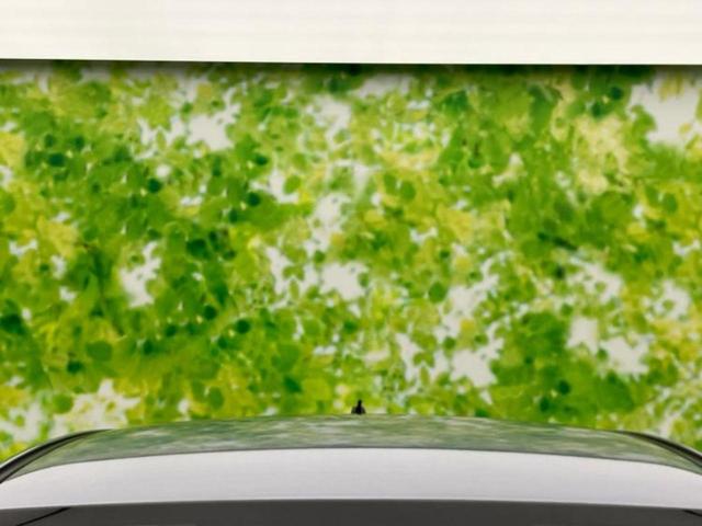 ＸＶ ４ＷＤ１．６ｉ－Ｌアイサイト　保証書／社外　ＳＤナビ／アイサイト／車線逸脱防止支援システム／ドライブレコーダー　社外／ヘッドランプ　ＬＥＤ／ＵＳＢジャック／Ｂｌｕｅｔｏｏｔｈ接続／ＥＴＣ／ＥＢＤ付ＡＢＳ／横滑り防止装置　４ＷＤ（50枚目）