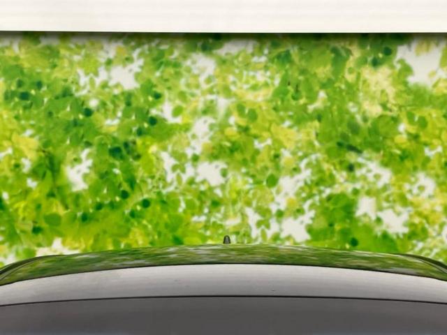 ハリアー Ｚ　新品タイヤ／ＪＢＬ／保証書／純正　１１．６インチ　メモリーナビ／デジタルインナーミラー／トヨタセーフティセンス／シートヒーター　前席／パノラミックビューモニター／車線逸脱防止支援システム　全周囲カメラ（51枚目）