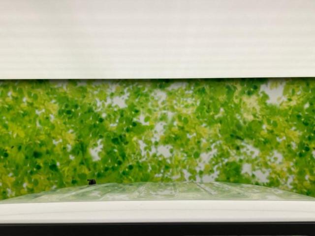 ジムニーシエラ ４ＷＤ　ＪＣ　新品タイヤ／保証書／純正　８インチ　ＳＤナビ／衝突安全装置／シートヒーター　前席／車線逸脱防止支援システム／ドライブレコーダー　社外／ヘッドランプ　ＬＥＤ／Ｂｌｕｅｔｏｏｔｈ接続／ＥＴＣ　バックカメラ（47枚目）