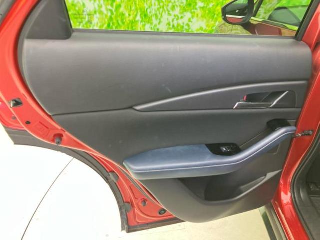 CX-30 20Sプロアクティブツーリングセレクション 保証書/純正 SDナビ/アイアクティブセンス(マツダ)/シートヒーター 前席/360°ビューモニター/車線逸脱防止支援システム/電動バックドア/ヘッドランプ LED/USBジャック LEDヘッドランプ(24枚目)