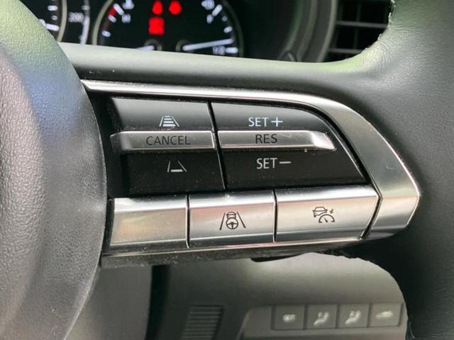 CX-30 20Sプロアクティブツーリングセレクション 保証書/純正 SDナビ/アイアクティブセンス(マツダ)/シートヒーター 前席/360°ビューモニター/車線逸脱防止支援システム/電動バックドア/ヘッドランプ LED/USBジャック LEDヘッドランプ(31枚目)