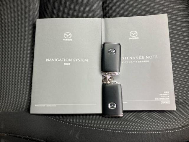 CX-30 20Sプロアクティブツーリングセレクション 保証書/純正 SDナビ/アイアクティブセンス(マツダ)/シートヒーター 前席/360°ビューモニター/車線逸脱防止支援システム/電動バックドア/ヘッドランプ LED/USBジャック LEDヘッドランプ(38枚目)