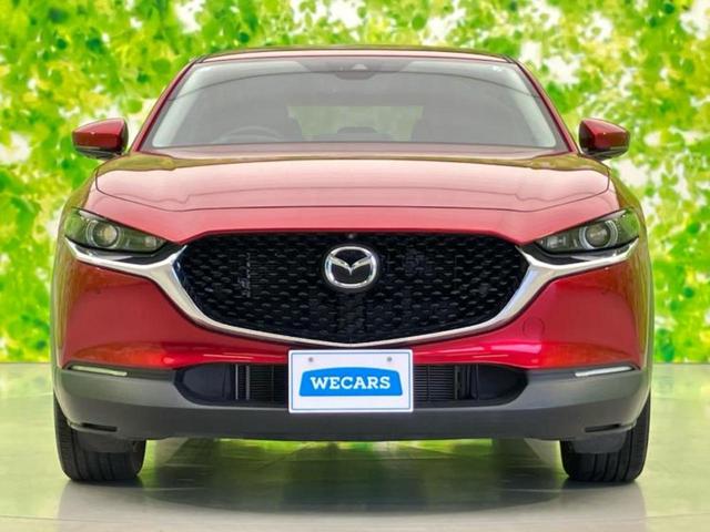 CX-30 20Sプロアクティブツーリングセレクション 保証書/純正 SDナビ/アイアクティブセンス(マツダ)/シートヒーター 前席/360°ビューモニター/車線逸脱防止支援システム/電動バックドア/ヘッドランプ LED/USBジャック LEDヘッドランプ(46枚目)