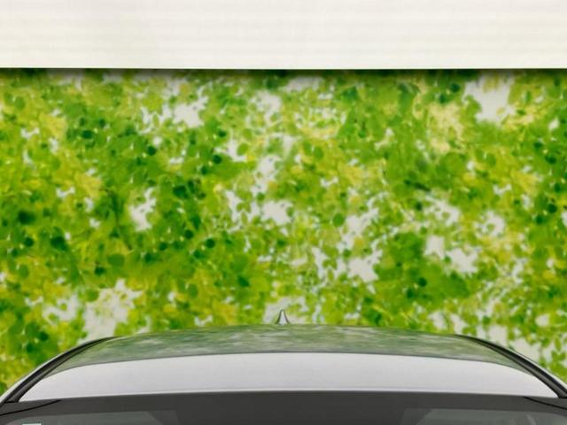 インプレッサスポーツ ４ＷＤ２．０ｉ－Ｓアイサイト　新品タイヤ／保証書／純正　ＳＤナビ／アイサイト／シートヒーター　前席／車線逸脱防止支援システム／シート　フルレザー／ドライブレコーダー　前後／ヘッドランプ　ＬＥＤ／Ｂｌｕｅｔｏｏｔｈ接続／ＥＴＣ（51枚目）