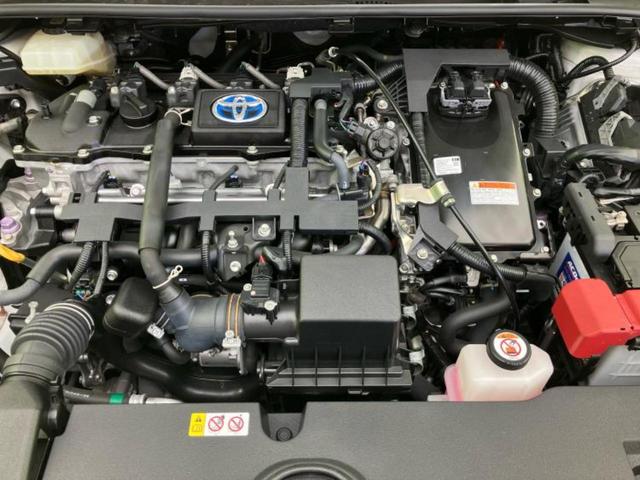 �S���ɓX�܂�W�J���Ă���̂łǂ��ł������񂹂��\�ł��I���̎Ԃ��C�ɂȂ邯�ǉ���������E�E�E�ƒ��߂�K�v�͂���܂���I���ʓr������K�v�ł��B