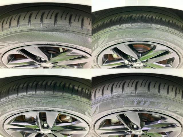 �u���̎Ԃ̎ʐ^�������ƌ������v�u��Ԃ��C�ɂȂ�v�u���̑����͂��Ă���H�v�ǂ�ȏ����ȋ^��ł����C�y�ɂ��₢���킹���������I