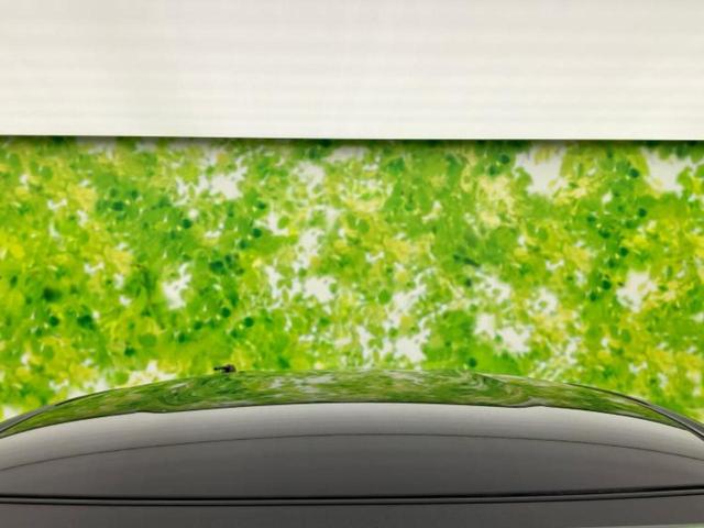 デイズ ハイウェイスターX 保証書/純正 9インチ SDナビ/エマージェンシーブレーキ/アラウンドビューモニター/車線逸脱防止支援システム/ドライブレコーダー 前後/ヘッドランプ LED/USBジャック 衝突被害軽減システム(53枚目)