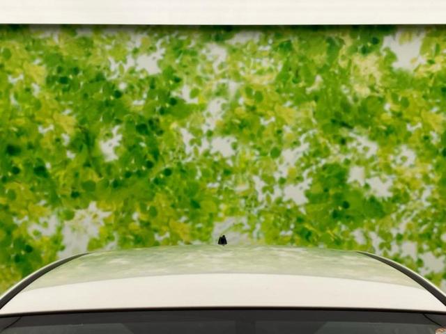 インプレッサスポーツ 2.0i 新品タイヤ/保証書/社外 SDナビ/衝突安全装置/車線逸脱防止支援システム/ドライブレコーダー 前後/ヘッドランプ HID/Bluetooth接続/ETC/EBD付ABS/横滑り防止装置 バックカメラ(51枚目)