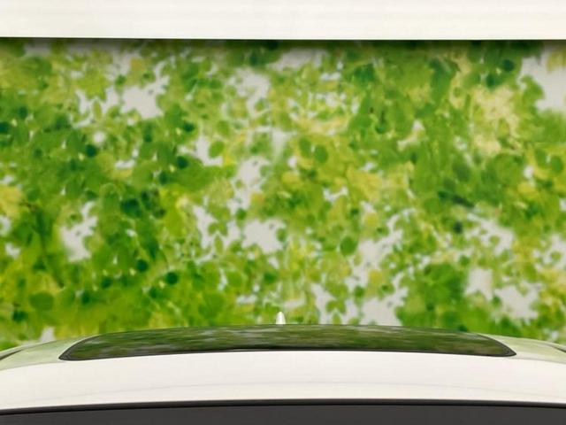 ハリアー プログレス　新品タイヤ／サンルーフ／ＪＢＬ／保証書／純正　９インチ　ＳＤナビ／トヨタセーフティセンス／パノラミックビューモニター／車線逸脱防止支援システム／シート　合皮／電動バックドア／ドライブレコーダー　社外（51枚目）