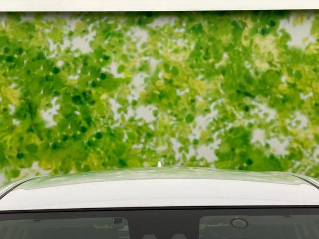 ライズ G 保証書/社外 ナビ/トヨタセーフティセンス/パノラミックビューモニター/車線逸脱防止支援システム/ドライブレコーダー 前後/ヘッドランプ LED/USBジャック/Bluetooth接続/ETC 禁煙車(51枚目)