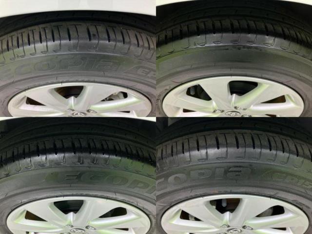 �u���̎Ԃ̎ʐ^�������ƌ������v�u��Ԃ��C�ɂȂ�v�u���̑����͂��Ă���H�v�ǂ�ȏ����ȋ^��ł����C�y�ɂ��₢���킹���������I