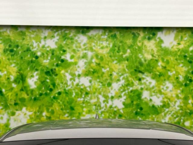 Ｃ－ＨＲ Ｇモードネロ　保証書／社外　９インチ　ＳＤナビ／トヨタセーフティセンス／シートヒーター　前席／車線逸脱防止支援システム／シート　ハーフレザー／ドライブレコーダー　社外／ヘッドランプ　ＬＥＤ／ＵＳＢジャック　禁煙車（54枚目）