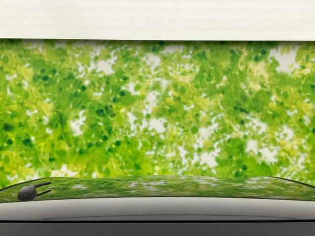 N-ONE オリジナル 保証書/ディスプレイオーディオ8インチ/ホンダセンシング/車線逸脱防止支援システム/シート 合皮/ドライブレコーダー 前後/ヘッドランプ HID/USBジャック/Bluetooth接続 バックカメラ(48枚目)