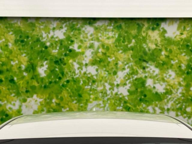 プリウス Ａツーリングセレクション　新品タイヤ／純正エアロ／保証書／純正　９インチ　ＳＤナビ／トヨタセーフティセンス／シートヒーター　前席／車線逸脱防止支援システム／シート　合皮／パーキングアシスト　自動操舵　リフトアップ　フルエアロ（56枚目）