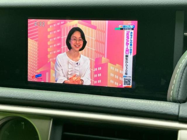 IS IS250 保証書/純正 SDナビ/シート ハーフレザー/ヘッドランプ LED/USBジャック/Bluetooth接続/ETC/EBD付ABS/横滑り防止装置/クルーズコントロール/バックモニター バックカメラ(13枚目)