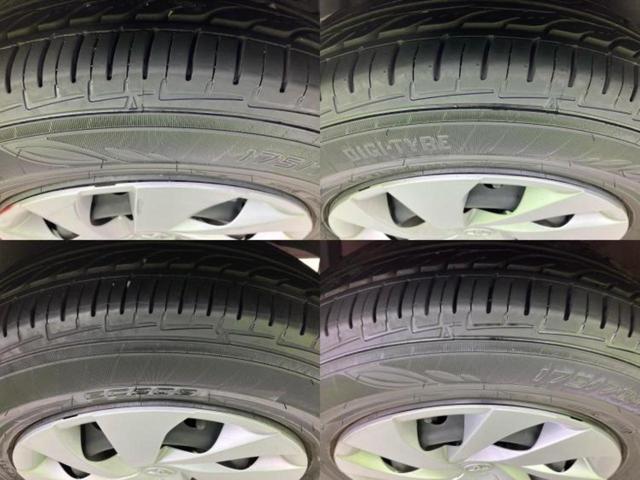 �u���̎Ԃ̎ʐ^�������ƌ������v�u��Ԃ��C�ɂȂ�v�u���̑����͂��Ă���H�v�ǂ�ȏ����ȋ^��ł����C�y�ɂ��₢���킹���������I