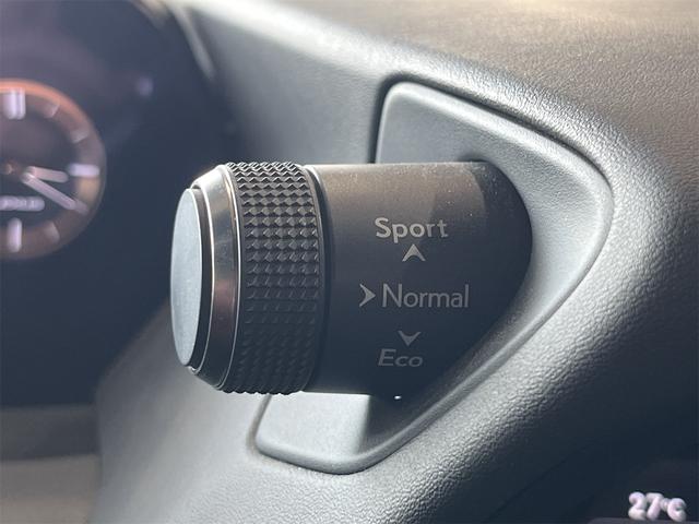 ＵＸ ＵＸ２５０ｈ　Ｆスポーツ　１年保証付・禁煙車・専用本革スポーツ赤シート・ナビ・ＴＶ・Ｂｌｕｅｔｏｏｔｈ・バックモニター・レクサスセーフティ・クルーズコントロール・パワーバックドア・パワーシート・三眼ＬＥＤオートライト・ドラレコ（14枚目）