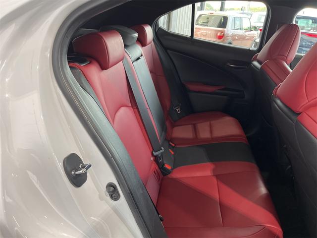 ＵＸ ＵＸ２５０ｈ　Ｆスポーツ　１年保証付・禁煙車・専用本革スポーツ赤シート・ナビ・ＴＶ・Ｂｌｕｅｔｏｏｔｈ・バックモニター・レクサスセーフティ・クルーズコントロール・パワーバックドア・パワーシート・三眼ＬＥＤオートライト・ドラレコ（51枚目）