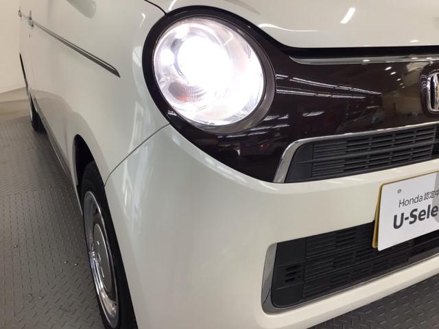 �y�g�h�c�w�b�h���C�g�z��Ԃ�J�V���ł������܂ł�������ƌ��n���A���S���ƈ��S�������߂�f�B�X�`���[�W�w�b�h���C�g�����I