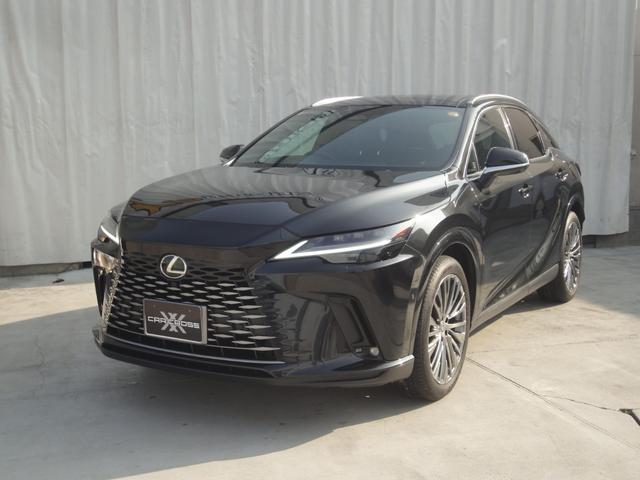 ＲＸ ＲＸ４５０ｈ＋　バージョンＬ　ＲＸ４５０ｈ＋　バージョンＬ（５名）ユーザー買取　ワンオーナー　禁煙車　全方位モニター（36枚目）