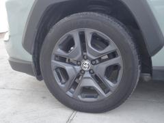 �ң��֣� ���ɥ٥���㡼�����֡��ر�֡�����롼�ա��ǥ����ץ쥤�����ǥ��� 1020643A30251129W003 7