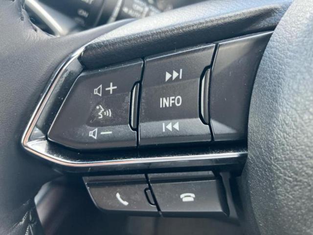 ＣＸ－８ ４ＷＤ　ＸＤプロアクティブ　保証書／純正　ＳＤナビ／衝突安全装置／シートヒーター　前席／車線逸脱防止支援システム／パーキングアシスト　バックガイド／電動バックドア／ドライブレコーダー　社外／ヘッドランプ　ＨＩＤ　バックカメラ（29枚目）