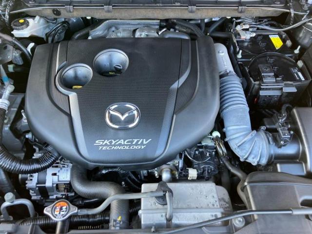 �S���ɓX�܂�W�J���Ă���̂łǂ��ł������񂹂��\�ł��I���̎Ԃ��C�ɂȂ邯�ǉ���������E�E�E�ƒ��߂�K�v�͂���܂���I���ʓr������K�v�ł��B