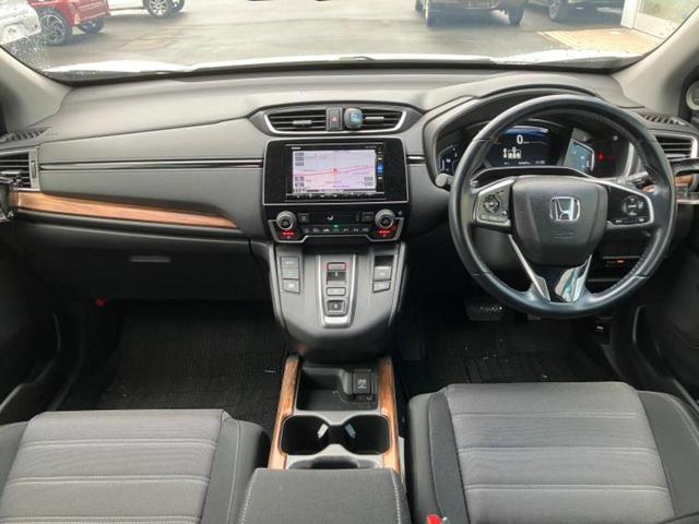 �u���̎Ԃ̎ʐ^�������ƌ������v�u��Ԃ��C�ɂȂ�v�u���̑����͂��Ă���H�v�ǂ�ȏ����ȋ^��ł����C�y�ɂ��₢���킹���������I