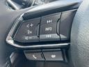 ４ＷＤ　ＸＤプロアクティブ　保証書／純正　ＳＤナビ／衝突安全装置／シートヒーター　前席／車線逸脱防止支援システム／パーキングアシスト　バックガイド／電動バックドア／ドライブレコーダー　社外／ヘッドランプ　ＨＩＤ　バックカメラ（29枚目）