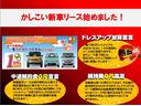 ＪＰ　グリーンツートン塗装　外装カスタム　両側スライドドア　バックカメラ　フロントカメラ　ドライブレコーダー　ＣＤ再生　キーレス　ＥＴＣ　フル装備　ＡＢＳ　エアバック　タイミングチェーン式　　　　Ｕ(34枚目)