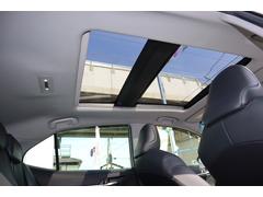 ���ɣӴ���ǣ��������ǳ����������������������Ȥ����������餷�����������̵���Τ��ݾڤ��Ƥ��ޤ������󡢴���������������� 7