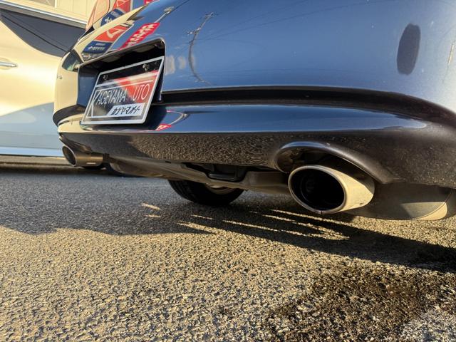 ���y�I�X�X���P�Q�^�����Q�{�o���}�t���[�z��