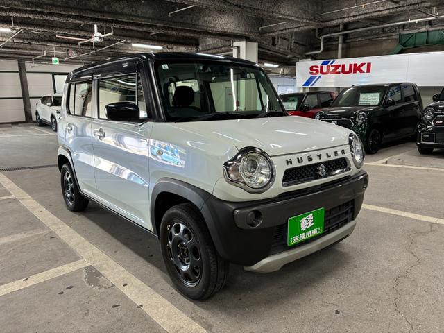 SUZUKI HUSTLER F-LIMITED