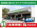 ＧＦ　届出済未使用車　前後バンパーラプター塗装　ホワイトリボン　ダウンサス　デュアルカメブレーキサポート　車線逸脱警報装置　横滑り防止装置　パーキングセンサー　シートヒーター　ＬＥＤヘッドランプ（33枚目）