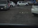 当社はほぼ毎日お客様から新鮮なお車を買取させていただいております。一般的な中古屋さんとの違いは、新鮮なお車を新鮮なうちにお客様のお手元にお届けすることです。
