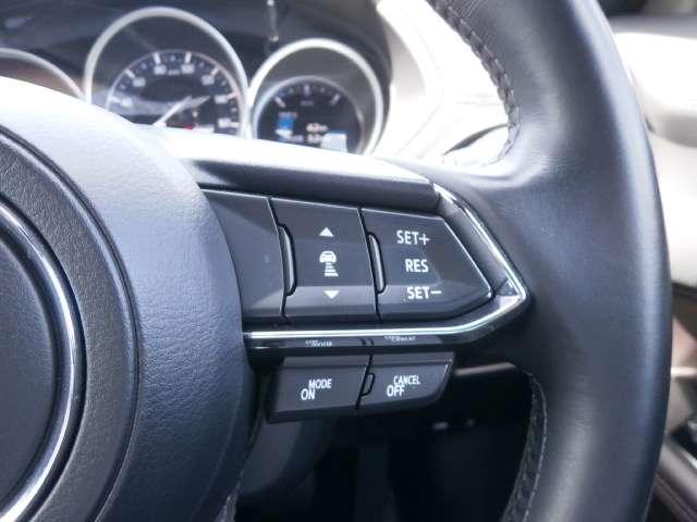 2.2 XD Lパッケージ ディーゼルターボ 4WD 360(12枚目)