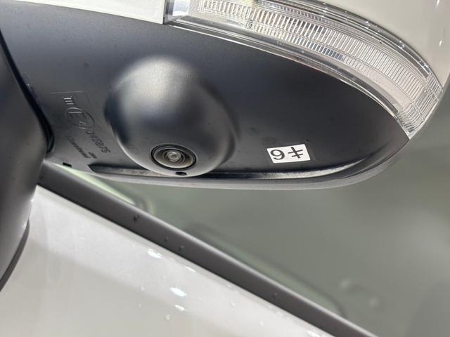 �����ʂȎԓW���������T�R�_���q�̓I�[�����[�J�[�̔��\�ł����y�����Ԃ݂̂Ȃ炸�A���ʎԁA���ÎԂ��W��������p�^�C�v�A�y�g���b�N�A�y�o���A�r�t�u�A�~�j�o���A�R���p�N�g�J�[�A�n�C�u���b�h���푽�l��