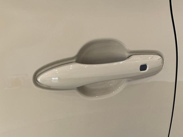 ���J�[���C�t�̂��ƂȂ�T�R�_���q�ɂ��C���������������̔��A�Ԍ��A�_���A�ی��A��������ԂɊւ��邱�ƂȂ牽�ł����v�ł���������̂��Ƃ̓T�R�_���q�ց�