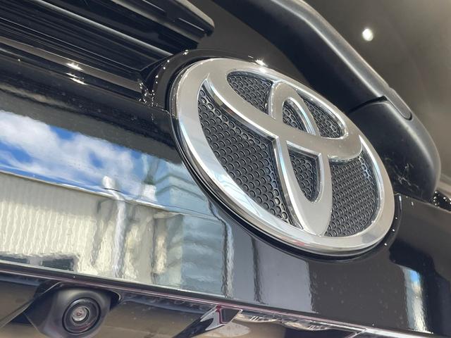 �����ʂȎԓW���������T�R�_���q�̓I�[�����[�J�[�̔��\�ł����y�����Ԃ݂̂Ȃ炸�A���ʎԁA���ÎԂ��W��������p�^�C�v�A�y�g���b�N�A�y�o���A�r�t�u�A�~�j�o���A�R���p�N�g�J�[�A�n�C�u���b�h���푽�l��