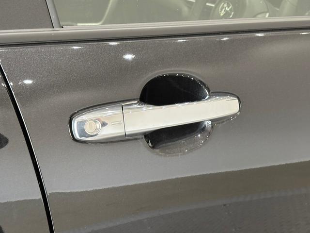 ライズ Z 衝突防止ブレーキ バックカメラ シートヒーター アダプティブクルーズコントロール レーンキープアシスト オートマチックハイビーム(24枚目)